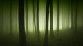 Mysterious forest with green fog trough trees Royalty Free Stock Photo