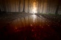 Mysterious forest on Halloween with red bloody water and man Royalty Free Stock Photo