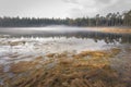 Mysterious forest pond with mist cloud and autumn colored landscape Royalty Free Stock Photo