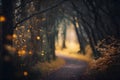 Mysterious forest road with glowing bokeh. Autumn landscape Royalty Free Stock Photo