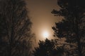 Mysterious full moon in fog against dark branches of pines and birch trees Royalty Free Stock Photo