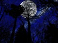 Mysterious full moon and forest Royalty Free Stock Photo