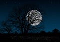 Mysterious full moon Royalty Free Stock Photo