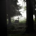 Grave in misty forest