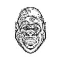 Mysterious horror zombie gorilla head monochrome