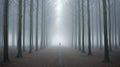 Mysterious Journey: A Haunting Figurative Landscape In A Foggy Forest