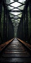 Mysterious Jungle: Old Train Bridge In Dramatic Atmospheric Perspective