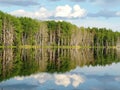 Mysterious lake Royalty Free Stock Photo