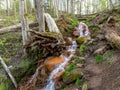 Spring river waterfall,  stones, green moss and spring trees, David`s sources, Latvia Royalty Free Stock Photo