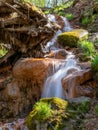 Spring river waterfall, stones, green moss and spring trees, David`s sources, Latvia