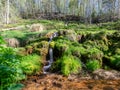 Spring river waterfall,  stones, green moss and spring trees, David`s sources, Latvia Royalty Free Stock Photo