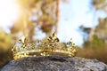 Mysterious and magical photo of gold king crown in the England woods over stone. Medieval period concept