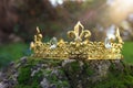 mysterious and magical photo of gold king crown over the stone covered with moss in the England woods or field landscape with