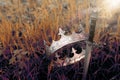 mysterious and magical photo of silver king crown and sword in the England woods or field landscape with light flare. Medieval