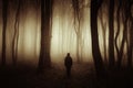 Mysterious man in forest with fog Royalty Free Stock Photo