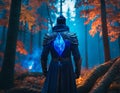 The mysterious man in the forest Royalty Free Stock Photo