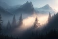 Mysterious misty morning over Biertan village, Transylvania, Romania. Blue colors.