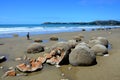 Mysterious Moeraki boulders