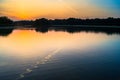 Summer sunset on the palace pond of museum-estate Kuskovo, Moscow. Russia.