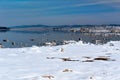 Mono Lake tufa rock, Winter Royalty Free Stock Photo