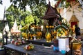 Mysterious naga worship shrine for thai people and foreign travelers travel visit and respect praying blessing with holy worship