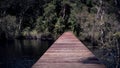 Mysterious nature landscape of tropical forest with wooden bridge across natural lake Royalty Free Stock Photo