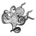 Mysterious octopus sketch illustration in black and white