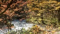 Mysterious Oirase Stream flowing through the autumn forest in To Royalty Free Stock Photo