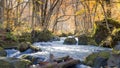 Mysterious Oirase Stream flowing through the autumn forest in To Royalty Free Stock Photo