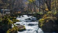 Mysterious Oirase Stream flowing through the autumn forest in To Royalty Free Stock Photo