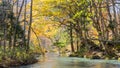 Mysterious Oirase Stream flowing through the autumn forest in To Royalty Free Stock Photo