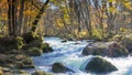 Mysterious Oirase Stream flowing through the autumn forest in To Royalty Free Stock Photo