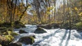 Mysterious Oirase Stream flowing through the autumn forest in To Royalty Free Stock Photo