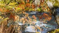 Mysterious Oirase Stream flowing through the autumn forest in To Royalty Free Stock Photo