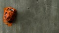 Mysterious orange cocoon pupa attached to gray cement wall, empty space for design and text, natural wallpaper, horizontal view Royalty Free Stock Photo