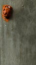 Mysterious orange cocoon pupa attached to gray cement wall, empty space for design and text, natural wallpaper, vertical view Royalty Free Stock Photo