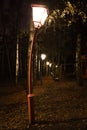 mysterious park, the curved antique lantern