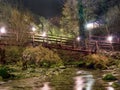 Mysterious path, walkway through woods,over stream. By night wit
