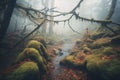 mysterious paths leading into a fog-engulfed forest
