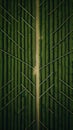Mysterious pathways: exploring the ancient abstract labyrinth etched on the ground with enigma