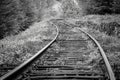 Mysterious railway curve lost in a forest