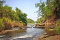 Mysterious rainforest river. Royalty Free Stock Photo