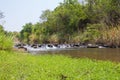 Mysterious rainforest river. Royalty Free Stock Photo