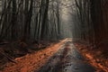 Mysterious road in the dark forest, Halloween concept