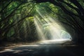 Mysterious road in the forest with light rays coming through trees. Generative AI