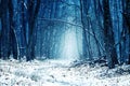 Mysterious road in the wood. Magic winter blue forest