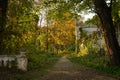 Mysterious ruins of buildings in the autumn forest. Royalty Free Stock Photo