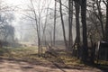 Mysterious scary, abandoned garden, vintage toned colors. Creamy mist below in valley.