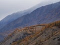 Mysterious scenery with colorful autumn forest in low clouds