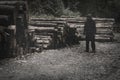 A mysterious spooky supernatural figure with glowing eyes next to a log pile. With an artistic, blurred, vintage, textured edit